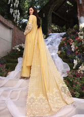 D#01 Elaf Festive Chikankari Collection 623